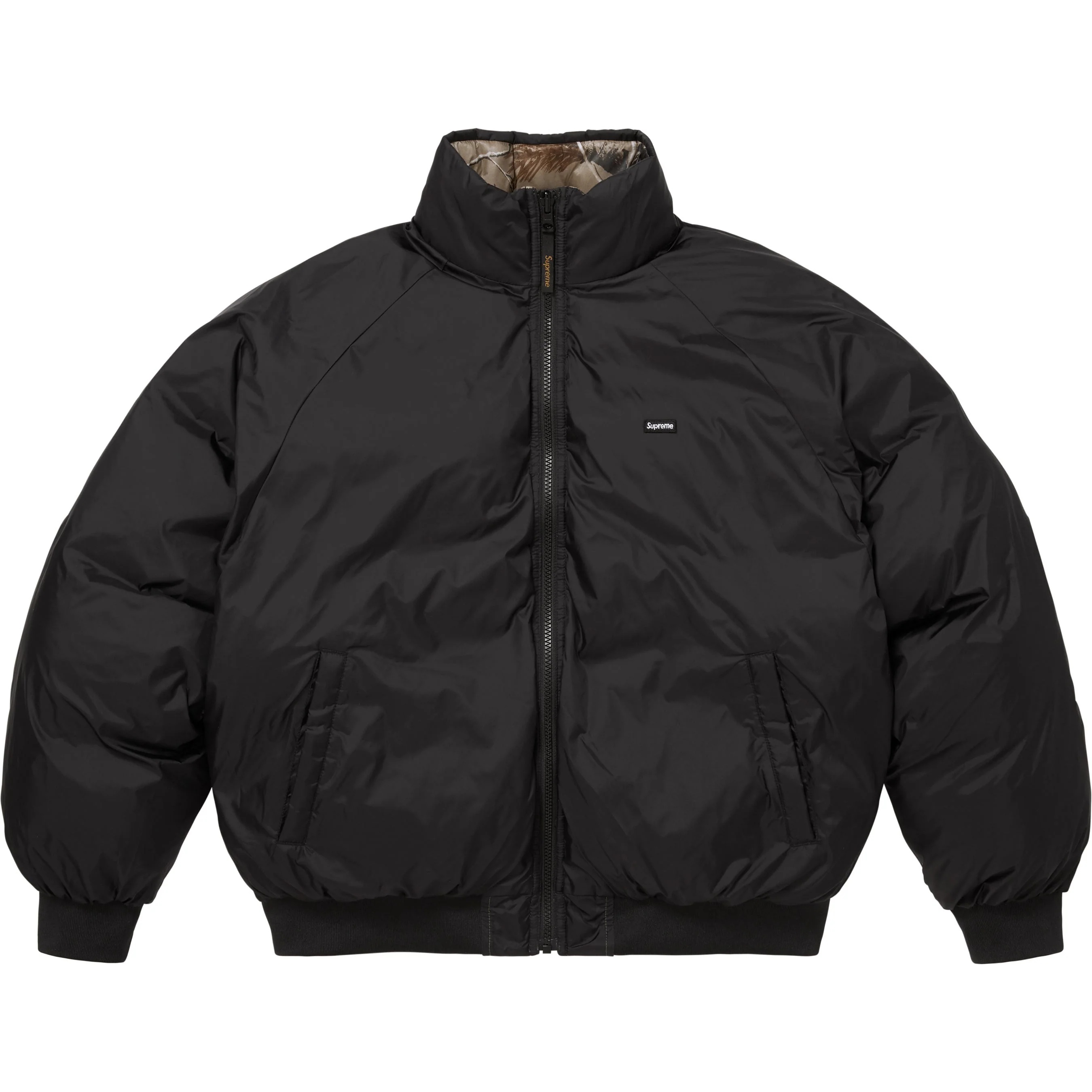 2-in-1 GORE-TEX Parka + Reversible 700-Fill Down Liner Jacket view 31